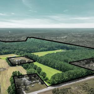 Photo #8 of 425 Kent Rd., Georgetown, SC 72.0 acres