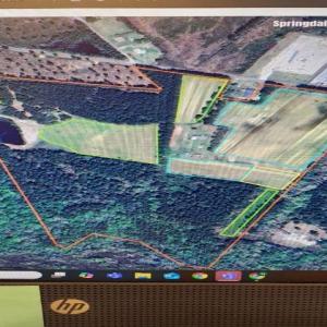 Photo #10 of 425 Kent Rd., Georgetown, SC 72.0 acres