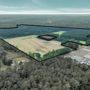 Photo #7 of 425 Kent Rd., Georgetown, SC 72.0 acres
