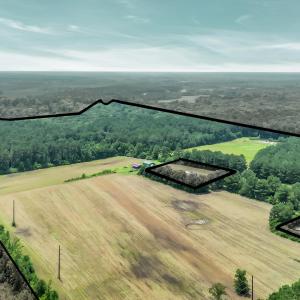 Photo #9 of 425 Kent Rd., Georgetown, SC 72.0 acres