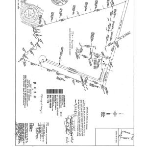 Photo #11 of 425 Kent Rd., Georgetown, SC 72.0 acres
