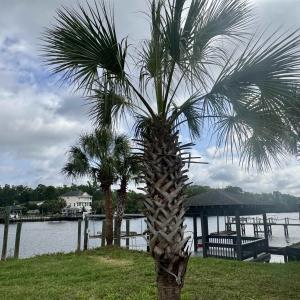 Photo #25 of 7 Smith Blvd., Myrtle Beach, SC 0.5 acres