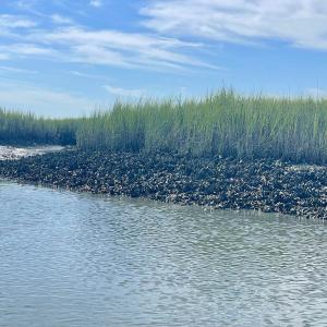 Photo #38 of 7 Smith Blvd., Myrtle Beach, SC 0.5 acres