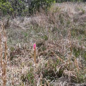 Photo #15 of TBD Hope Ct, Gresham, SC 1.2 acres