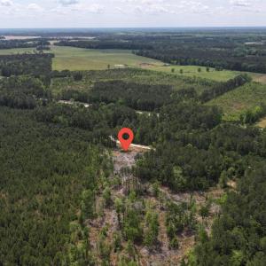 Photo #9 of TBD Hope Ct, Gresham, SC 1.2 acres