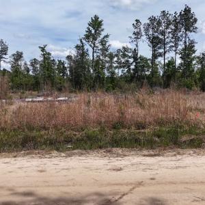 Photo #4 of TBD Hope Ct, Gresham, SC 1.2 acres