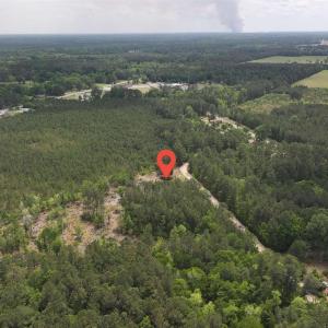 Photo #13 of TBD Hope Ct, Gresham, SC 1.2 acres