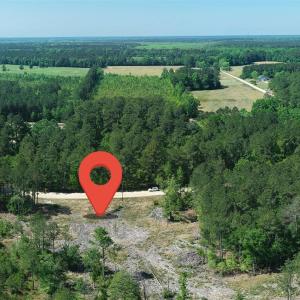 Photo #14 of TBD Hope Ct, Gresham, SC 1.2 acres
