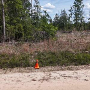 Photo #6 of TBD Hope Ct, Gresham, SC 1.2 acres
