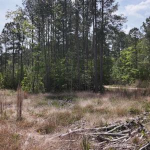 Photo #3 of TBD Hope Ct, Gresham, SC 1.2 acres