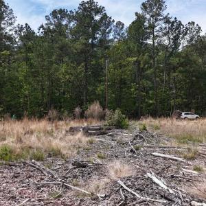 Photo #2 of TBD Hope Ct, Gresham, SC 1.2 acres