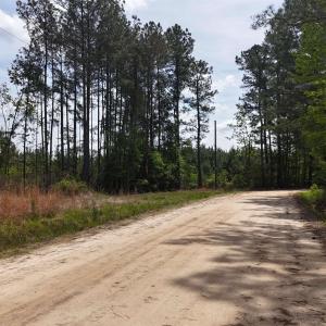 Photo #8 of TBD Hope Ct, Gresham, SC 1.2 acres