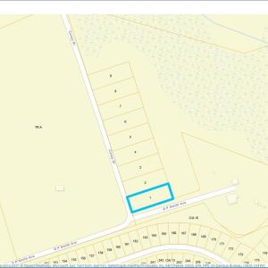 Photo #8 of TBD Coney Dr., Longs, SC 4.6 acres