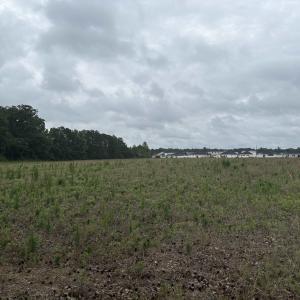 Photo #7 of TBD Coney Dr., Longs, SC 4.6 acres