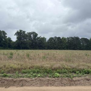 Photo #4 of TBD Coney Dr., Longs, SC 4.6 acres