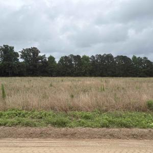 Photo #5 of TBD Coney Dr., Longs, SC 4.6 acres