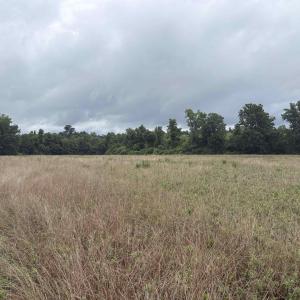 Photo #1 of TBD Coney Dr., Longs, SC 4.6 acres