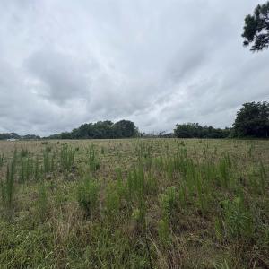 Photo #6 of TBD Coney Dr., Longs, SC 4.6 acres