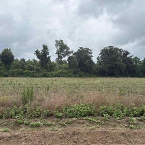Photo #2 of TBD Coney Dr., Longs, SC 4.6 acres
