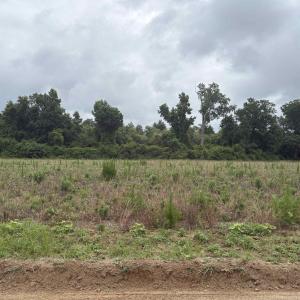 Photo #3 of TBD Coney Dr., Longs, SC 4.6 acres