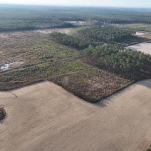 Photo #10 of TBD Hwy 9, Marion, SC 267.5 acres