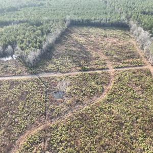 Photo #6 of TBD Hwy 9, Marion, SC 267.5 acres