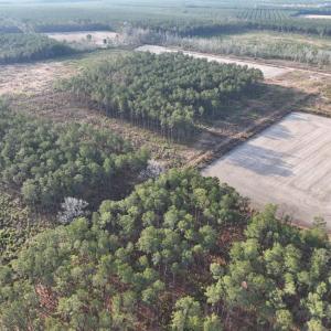 Photo #1 of TBD Hwy 9, Marion, SC 267.5 acres