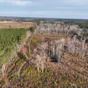 Photo #5 of TBD Hwy 9, Marion, SC 267.5 acres