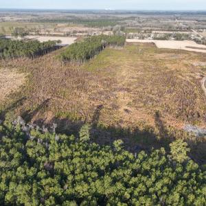 Photo #12 of TBD Hwy 9, Marion, SC 267.5 acres