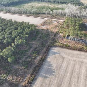 Photo #7 of TBD Hwy 9, Marion, SC 267.5 acres