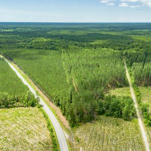 Photo #8 of TBD Ten Acre Rd., Andrews, SC 38.0 acres