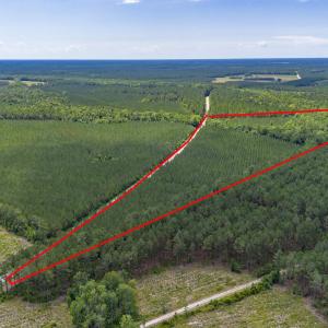 Photo #3 of TBD Ten Acre Rd., Andrews, SC 38.0 acres