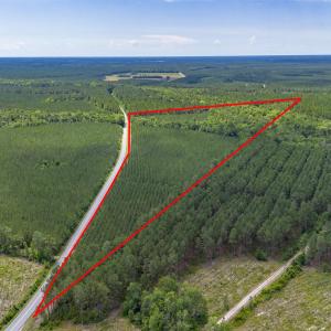 Photo #2 of TBD Ten Acre Rd., Andrews, SC 38.0 acres