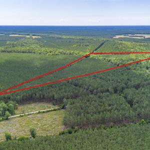 Photo #4 of TBD Ten Acre Rd., Andrews, SC 38.0 acres