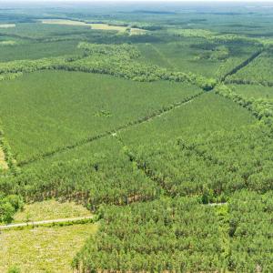 Photo #9 of TBD Ten Acre Rd., Andrews, SC 38.0 acres