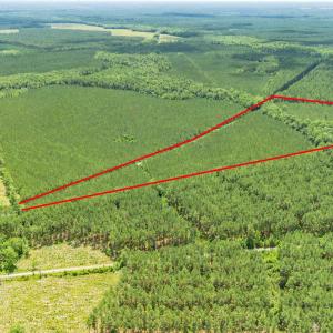 Photo #10 of TBD Ten Acre Rd., Andrews, SC 38.0 acres