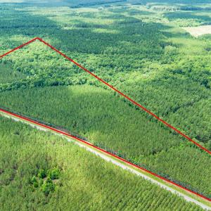 Photo #7 of TBD Ten Acre Rd., Andrews, SC 38.0 acres