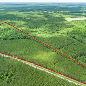 Photo #6 of TBD Ten Acre Rd., Andrews, SC 38.0 acres