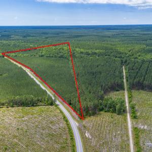 Photo #1 of TBD Ten Acre Rd., Andrews, SC 38.0 acres