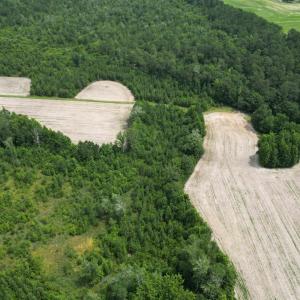 Photo #19 of TBD Church Rd., Green Sea, SC 74.0 acres