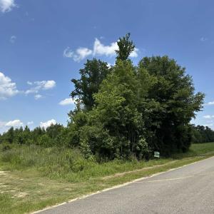 Photo #1 of TBD Church Rd., Green Sea, SC 74.0 acres