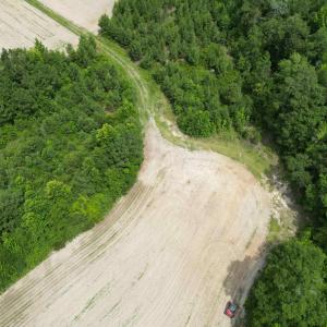 Photo #9 of TBD Church Rd., Green Sea, SC 74.0 acres