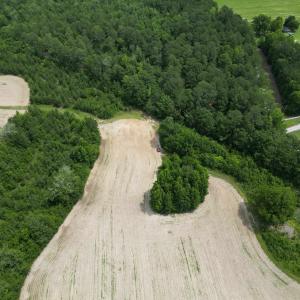 Photo #6 of TBD Church Rd., Green Sea, SC 74.0 acres