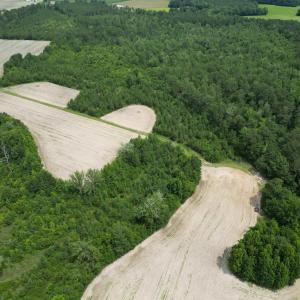 Photo #8 of TBD Church Rd., Green Sea, SC 74.0 acres