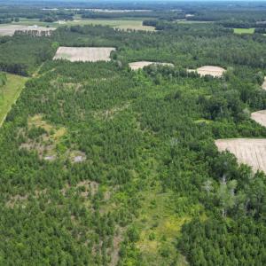 Photo #10 of TBD Church Rd., Green Sea, SC 74.0 acres
