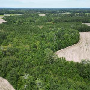 Photo #14 of TBD Church Rd., Green Sea, SC 74.0 acres