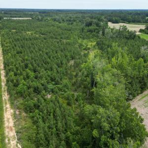 Photo #17 of TBD Church Rd., Green Sea, SC 74.0 acres