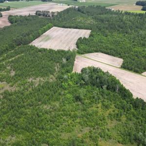 Photo #5 of TBD Church Rd., Green Sea, SC 74.0 acres