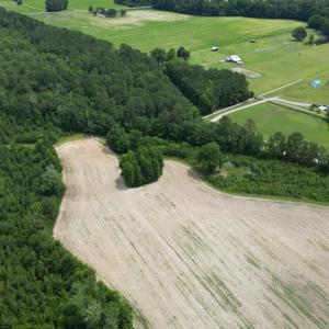 Photo #20 of TBD Church Rd., Green Sea, SC 74.0 acres