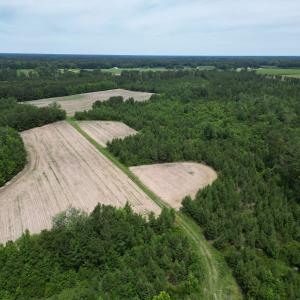 Photo #13 of TBD Church Rd., Green Sea, SC 74.0 acres
